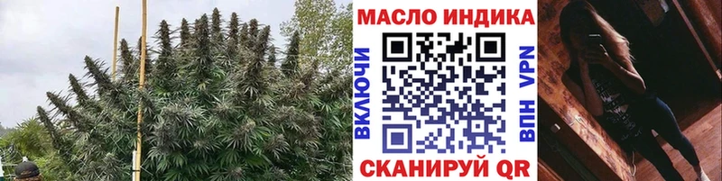 ТГК концентрат  цены   Теберда 