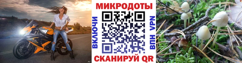 Псилоцибиновые грибы Psilocybe  где продают наркотики  Теберда 