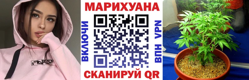 Шишки марихуана марихуана  даркнет официальный сайт  Теберда 